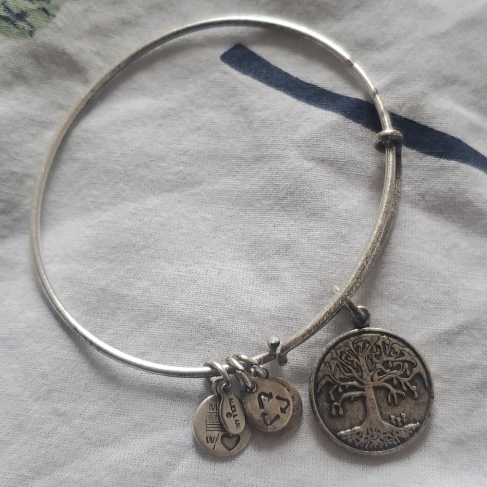 Alex and Ani bracelet